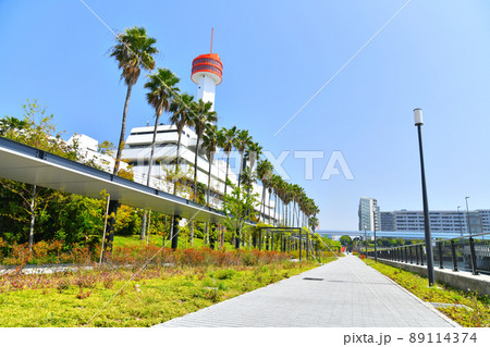 東八潮緑道公園(東京都品川区)【2022.4】 東八潮緑道公園(東京都品川区)【2022.4】 89114374