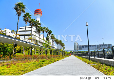 東八潮緑道公園(東京都品川区)【2022.4】 東八潮緑道公園(東京都品川区)【2022.4】 89114379