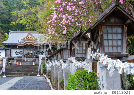 南湖神社の灯籠 南湖神社の灯籠 89115021