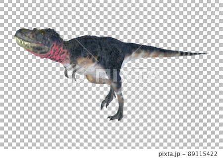 Tarbosaurus ☆ Tarbosaurus 89115422