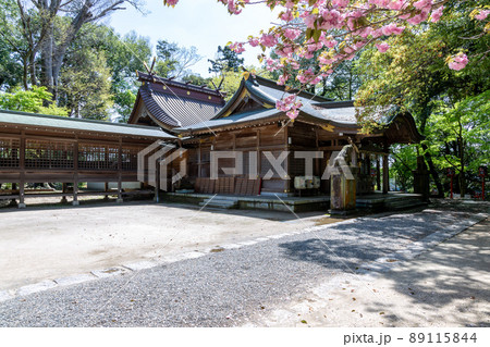 常陸國總社宮の境内【茨城県石岡市】 常陸國總社宮の境内【茨城県石岡市】 89115844