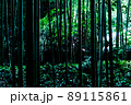 京都嵯峨野　竹林 89115861