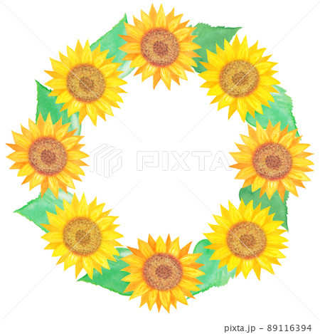 イラスト素材 水彩絵の具で手描きした向日葵のリース 葉と花 夏 黄色のイラスト素材