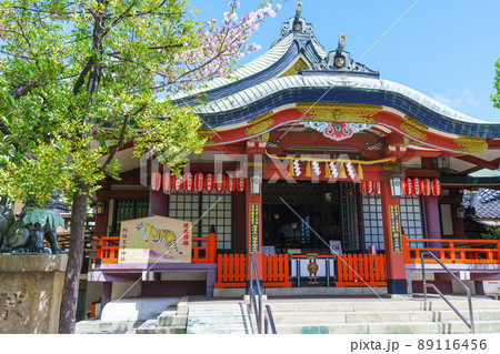阿倍王子神社の拝殿 初夏【大阪市阿倍野区】 阿倍王子神社の拝殿 初夏【大阪市阿倍野区】 89116456