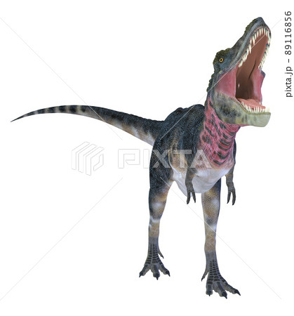 タルボサウルス☆Tarbosaurus 89116856