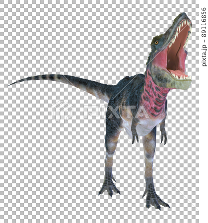 タルボサウルス☆Tarbosaurus 89116856