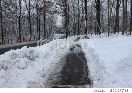 雪の歩道 雪の歩道 89117713