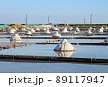 井仔脚瓦盤塩田 - Tainan 89117947