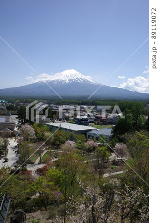ハーブ庭園旅日記富士河口湖庭園の展望台ふじさんデッキからの富士山と庭園の風景 89119072