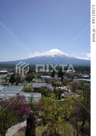 ハーブ庭園旅日記富士河口湖庭園の展望台ふじさんデッキからの富士山と庭園の風景 ハーブ庭園旅日記富士河口湖庭園の展望台ふじさんデッキからの富士山と庭園の風景 89119073