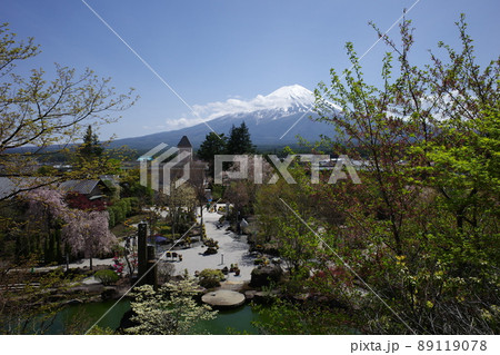 ハーブ庭園旅日記富士河口湖庭園からの富士山と庭園の風景 ハーブ庭園旅日記富士河口湖庭園からの富士山と庭園の風景 89119078