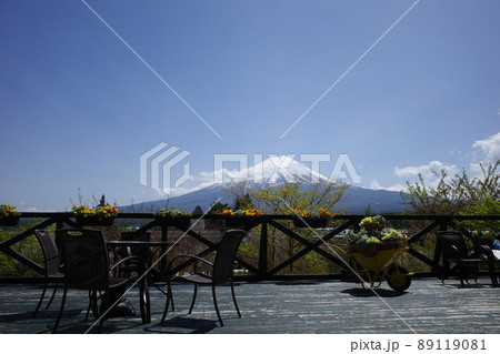 ハーブ庭園旅日記富士河口湖庭園から見た富士山とお花 89119081