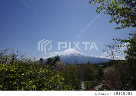 ハーブ庭園旅日記富士河口湖庭園から見た富士山 ハーブ庭園旅日記富士河口湖庭園から見た富士山 89119083