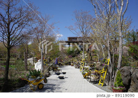 ハーブ庭園旅日記富士河口湖庭園の園内の様子 89119090