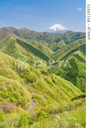 （山梨県）新緑の身延町山中から望む、富士山 89119923
