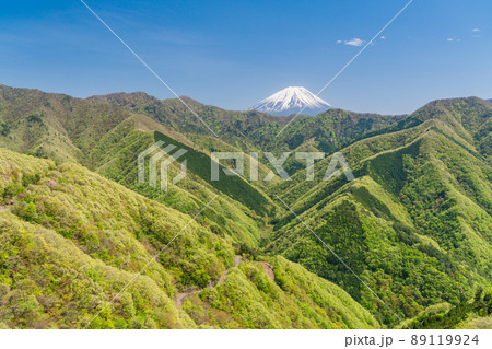 （山梨県）新緑の身延町山中から望む、富士山 89119924