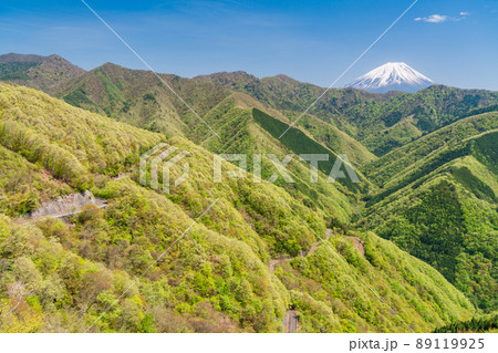 （山梨県）新緑の身延町山中から望む、富士山 89119925