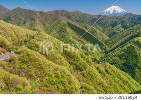 (山梨県)新緑の身延町山中から望む、富士山 (山梨県)新緑の身延町山中から望む、富士山 89119934