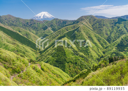 （山梨県）新緑の身延町山中から望む、富士山 89119935