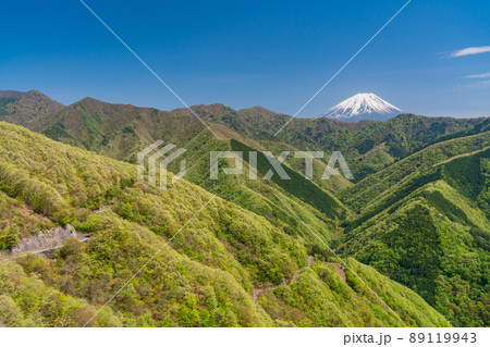 （山梨県）新緑の身延町山中から望む、富士山 89119943