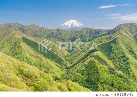 (山梨県)十二単の様な新緑の向こうに富士山 (山梨県)十二単の様な新緑の向こうに富士山 89119945