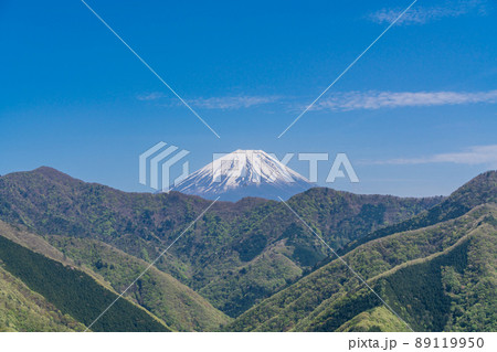 （山梨県）新緑の身延町山中から望む、富士山 89119950