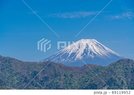 (山梨県)新緑の身延町山中から望む、富士山 (山梨県)新緑の身延町山中から望む、富士山 89119952