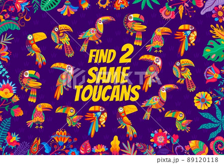 Find two same bright toucan birds of kids game quiz vector worksheet in frame of mexican floral ornament. Memory puzzle, riddle or maze of matching birds task, feather patterns, beaks, wings, tails 89120118