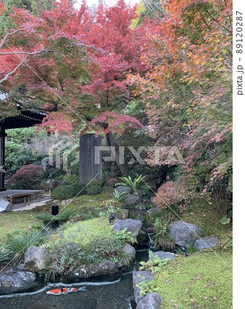 秋の日本庭園 秋の日本庭園 89120287