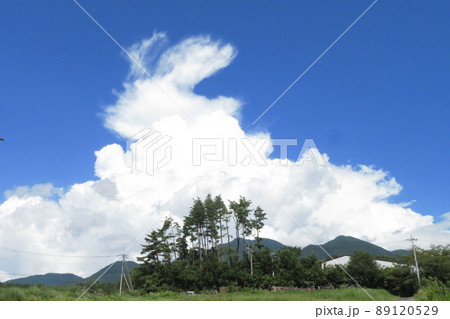 夏の雲と山と林 夏の雲と山と林 89120529