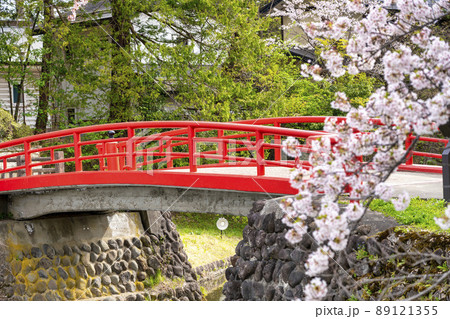 春の上杉神社 菱門橋と桜の風景 山形県米沢市の写真素材