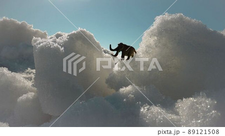 Figurine of a mammoth on a background of snow. Mammoth stands in permafrost. 89121508