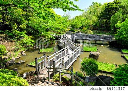 青海南ふ頭公園(東京都江東区)【2022.4】 89121517