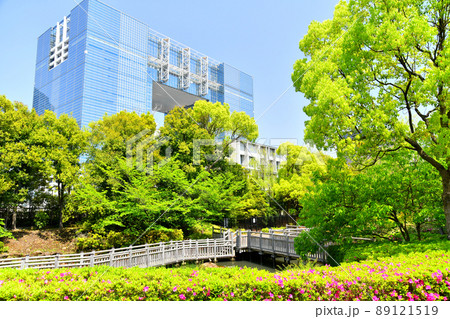青海南ふ頭公園(東京都江東区)【2022.4】 青海南ふ頭公園(東京都江東区)【2022.4】 89121519