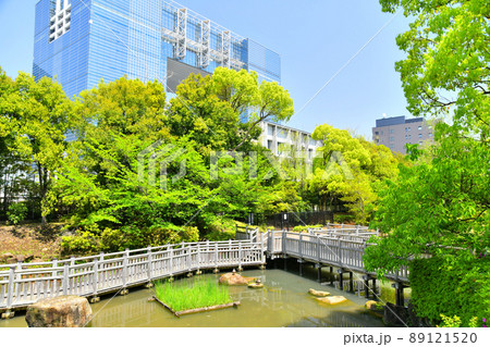 青海南ふ頭公園(東京都江東区)【2022.4】 89121520