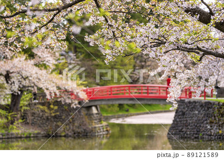春の上杉神社 菱門橋と桜の風景 山形県米沢市 春の上杉神社 菱門橋と桜の風景 山形県米沢市 89121589