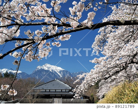山梨県　甲斐駒ヶ岳と清春芸術村の桜　4月 89121789