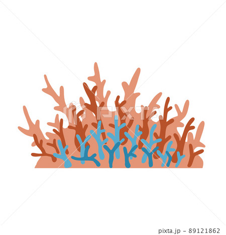 Corals on reef. Underwater plants. Exotic tropical undersea. 89121862