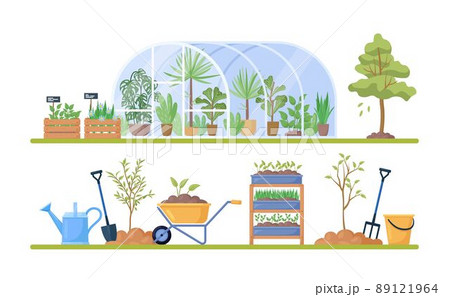 Glass green house with garden equipment or plants collection, wooden boxes with herbs, wheelbarrow, watering pot, shovel. Plants growing in pots inside glass greenhouse. Hothouse eco farm agriculture Glass green house with garden equipment or plants collection, wooden boxes with herbs, wheelbarrow, watering pot, shovel. Plants growing in pots inside glass greenhouse. Hothouse eco farm agriculture 89121964