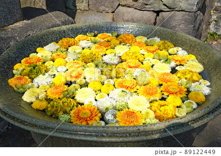花水面に浮かぶ色鮮やかな花手水 89122449