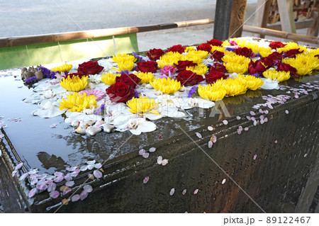 水面に浮かぶ色鮮やかな花手水 水面に浮かぶ色鮮やかな花手水 89122467