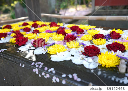 水面に浮かぶ色鮮やかな花手水 水面に浮かぶ色鮮やかな花手水 89122468