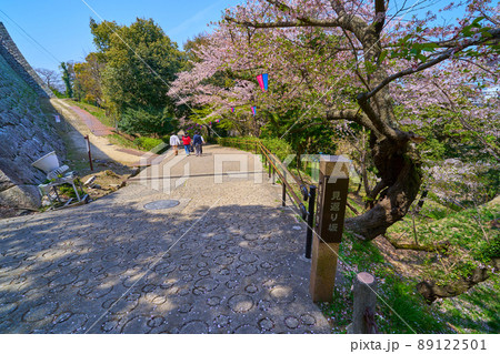 春の香川県丸亀市の丸亀城の見返り坂を見下ろす 89122501