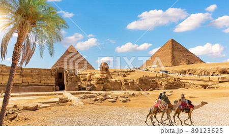 Wonderful Palm tree by The Great Sphinx and the Egypt Pyramid, Giza, Africa Wonderful Palm tree by The Great Sphinx and the Egypt Pyramid, Giza, Africa 89123625