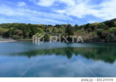 弁天池からツツジを眺める 春 (高知県 安芸市 内原野公園) 弁天池からツツジを眺める 春 (高知県 安芸市 内原野公園) 89124449