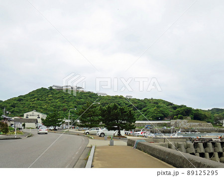 富岡城 遠景 富岡城 遠景 89125295