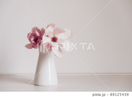 Magnolia flower in bloom against white background. Magnolia flower in bloom against white background. 89125439