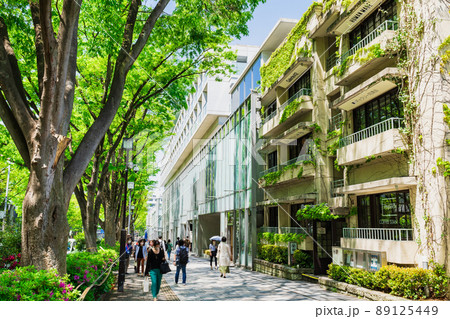 東京　新緑の表参道 89125449