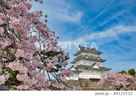 常盤門からの天守閣と桜 89125532