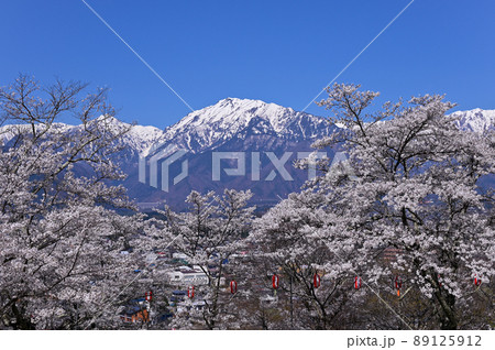 大町公園の桜 89125912